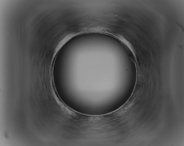 X0000094951389200711291055