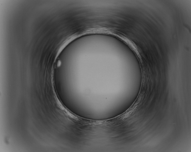 X0000094951390200711291055