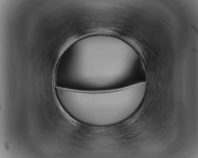 X0000094951391200711291055