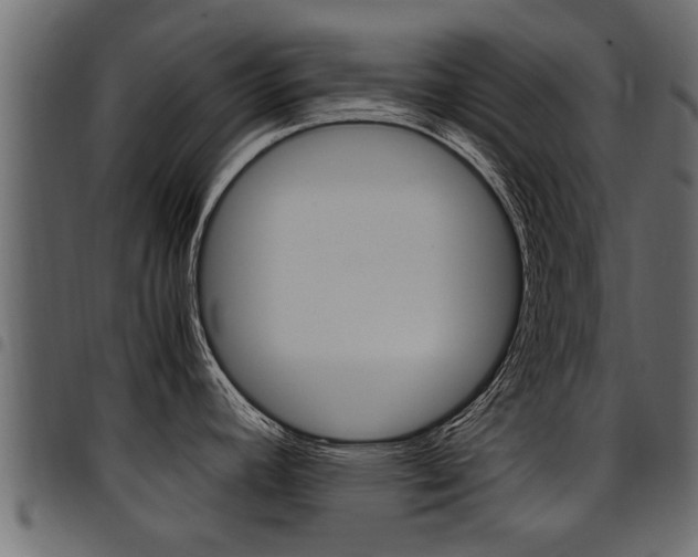 X0000094951392200711291055
