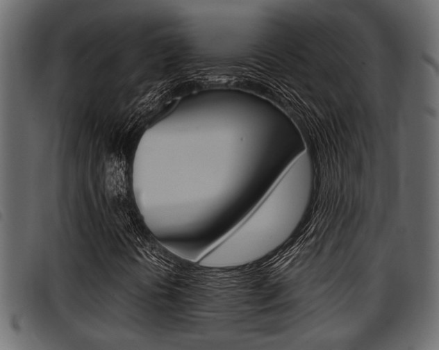 X0000094951394200711291055
