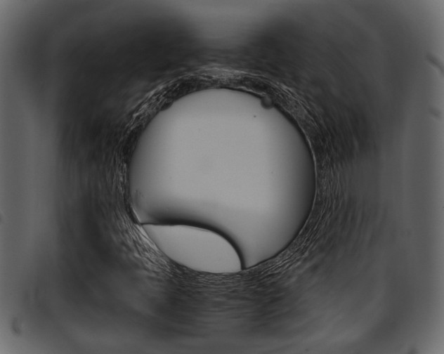 X0000094951397200711291055