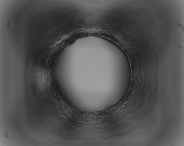 X0000094951398200711291055