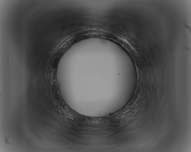 X0000094951399200711291055