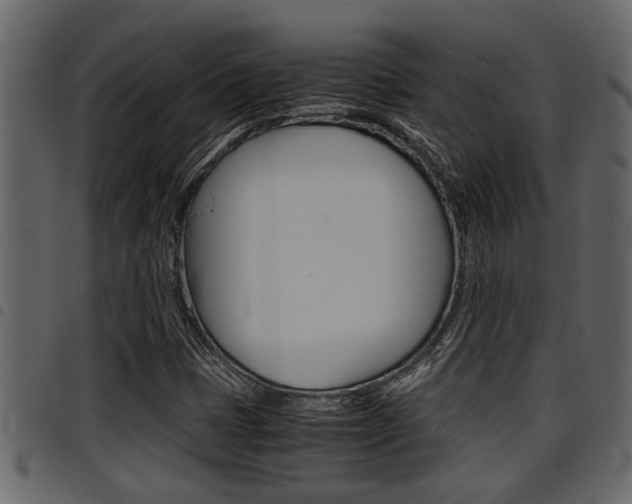 X0000094951401200711291055