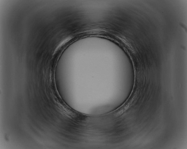 X0000094951402200711291055