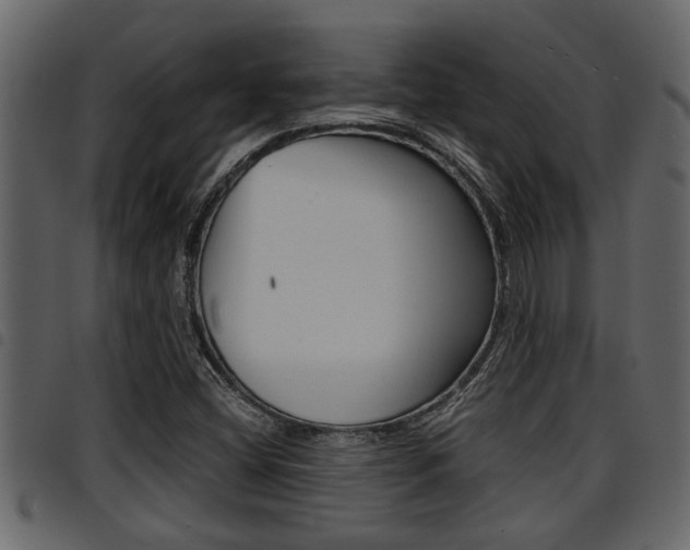 X0000094951404200711291055