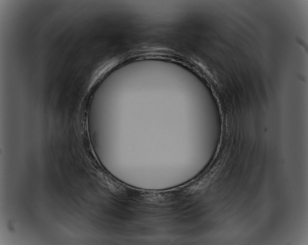 X0000094951405200711291055