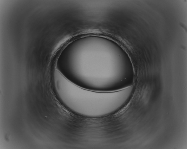 X0000094951406200711291055