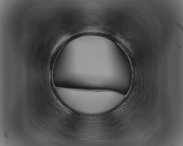 X0000094951408200711291055