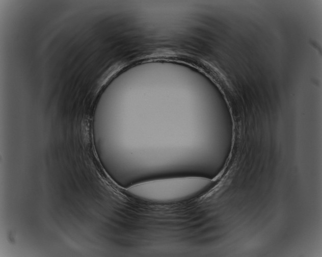 X0000094951409200711291055