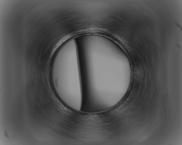 X0000094951410200711291055
