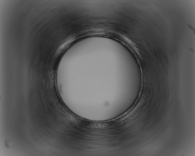 X0000094951411200711291055