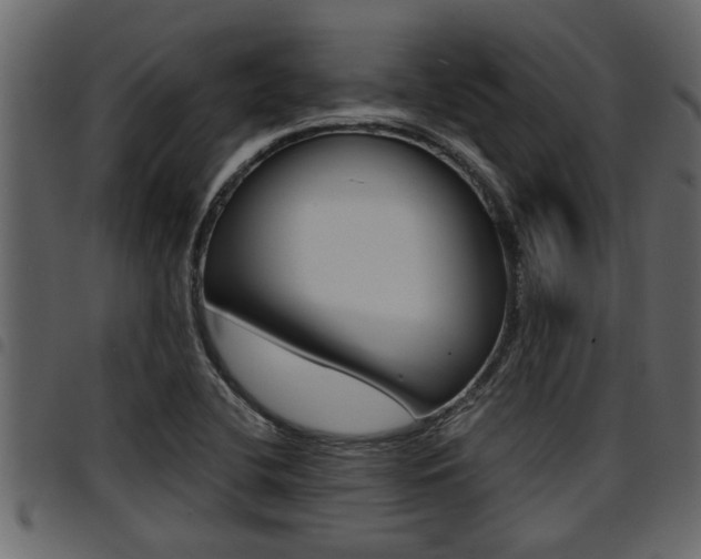 X0000094951412200711291055