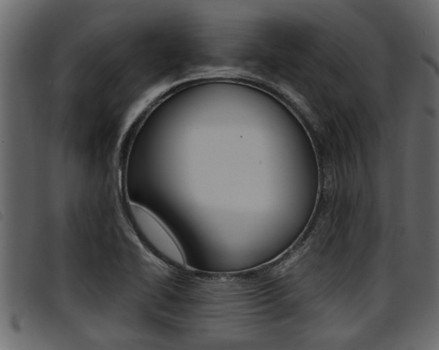 X0000094951414200711291055