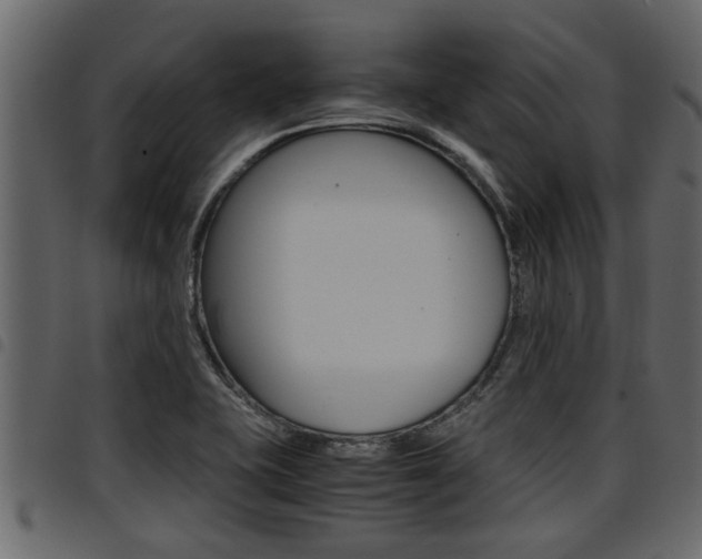 X0000094951415200711291055