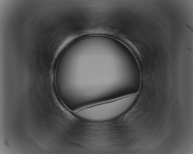 X0000094951416200711291055