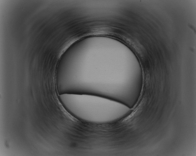 X0000094951417200711291055