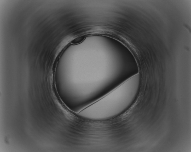 X0000094951418200711291055