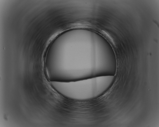 X0000094951419200711291055