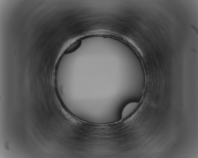 X0000094951421200711291055