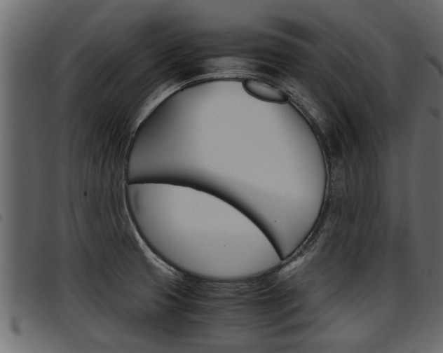 X0000094951425200711291055