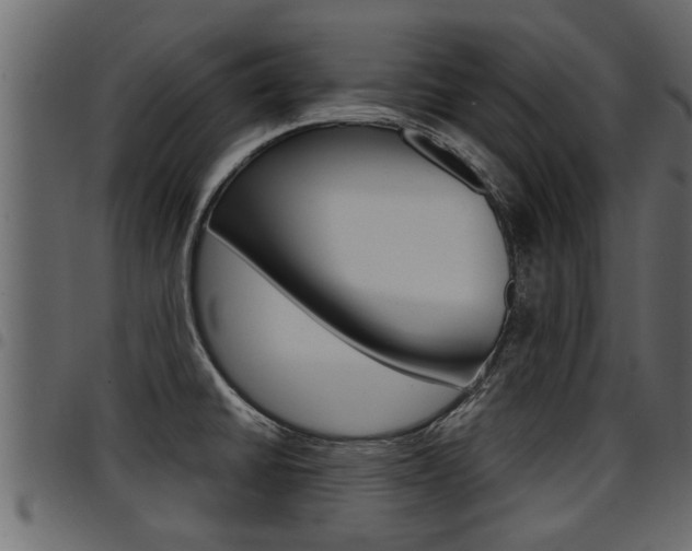 X0000094951430200711291055