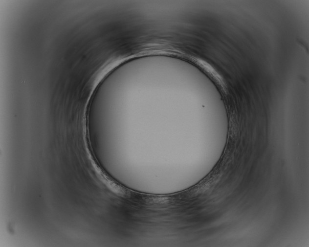 X0000094951431200711291055