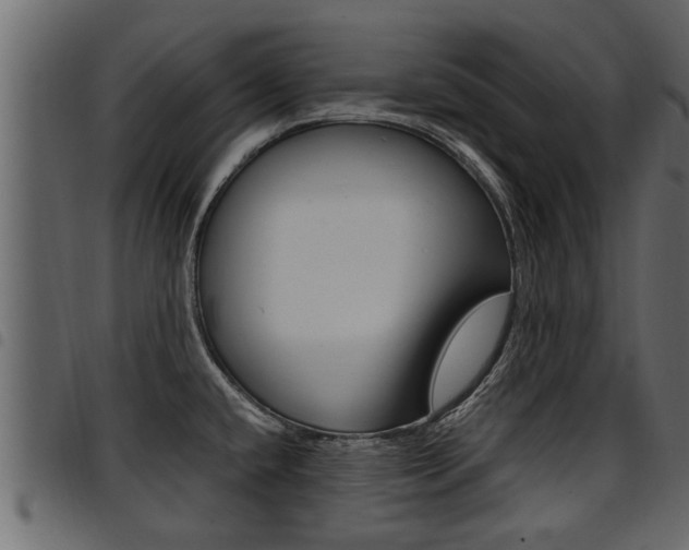 X0000094951432200711291055