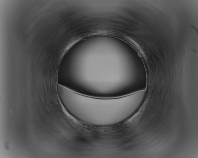 X0000094951433200711291055