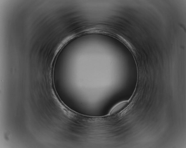 X0000094951434200711291055