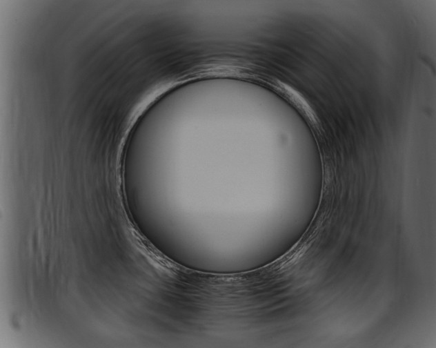 X0000094951435200711291055