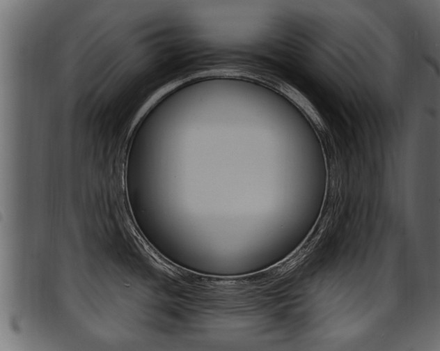 X0000094951436200711291055