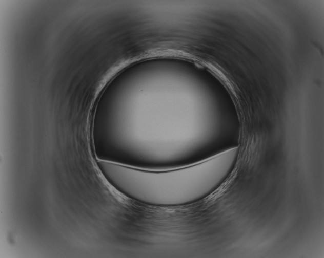 X0000094951438200711291055