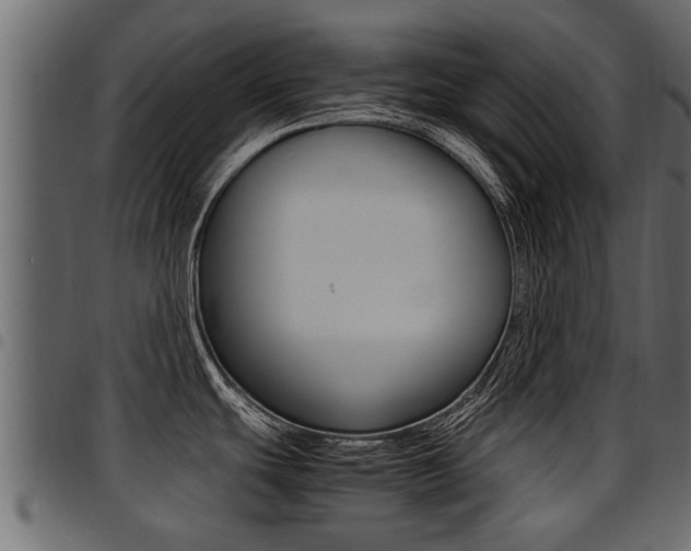 X0000094951439200711291055
