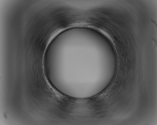 X0000094951440200711291055
