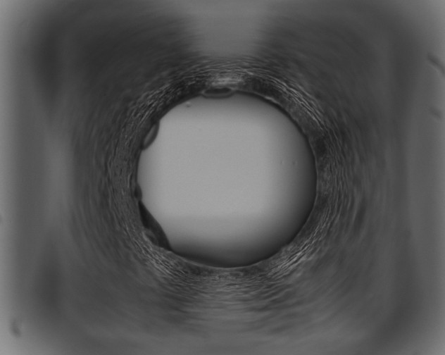 X0000094951441200711291055