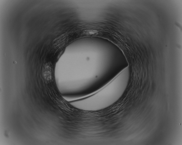 X0000094951442200711291055