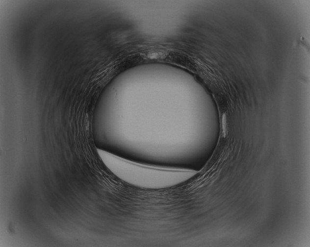 X0000094951443200711291055