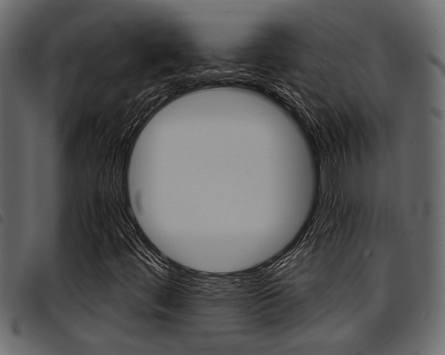 X0000094951444200711291054