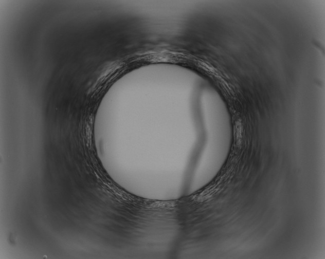 X0000094951446200711291054
