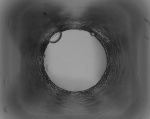 X0000094951447200711291054
