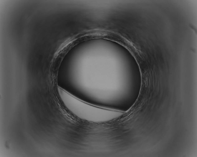 X0000094951448200711291054