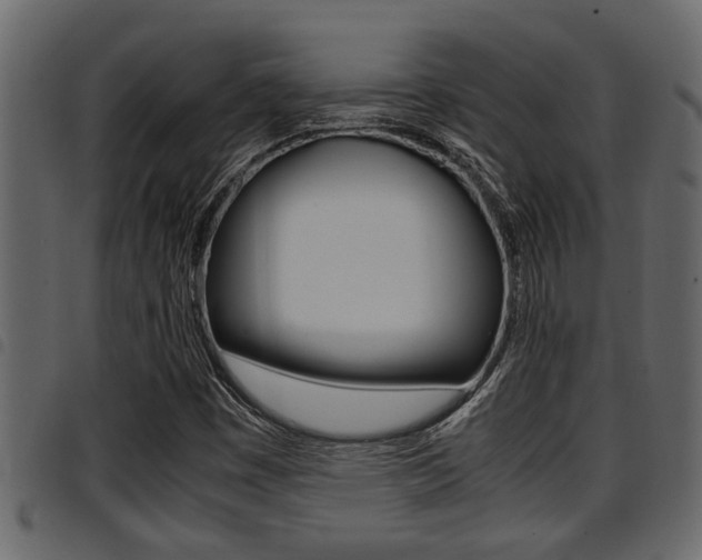 X0000094951449200711291054