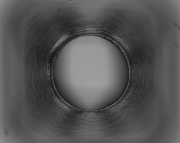 X0000094951450200711291054