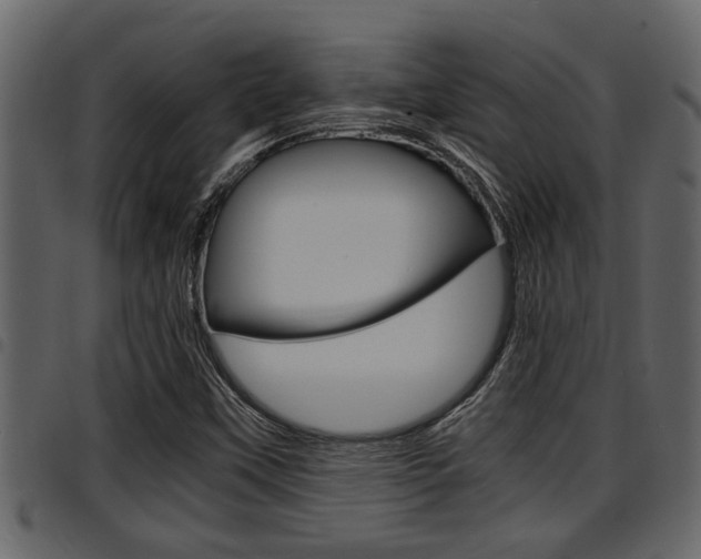 X0000094951451200711291054