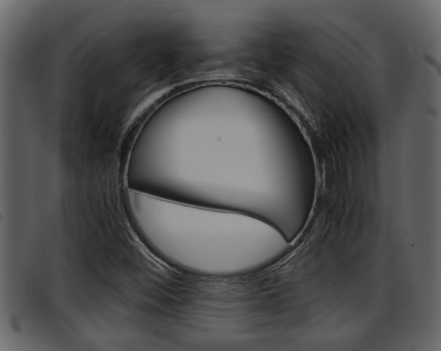 X0000094951452200711291054