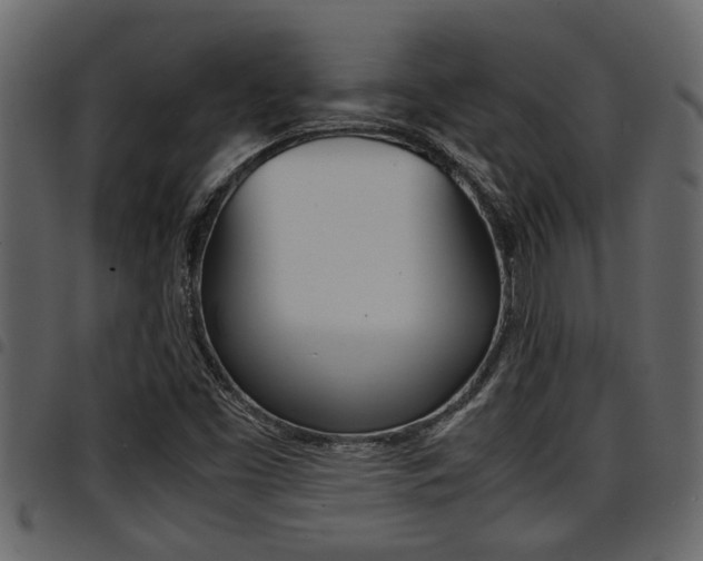 X0000094951453200711291054