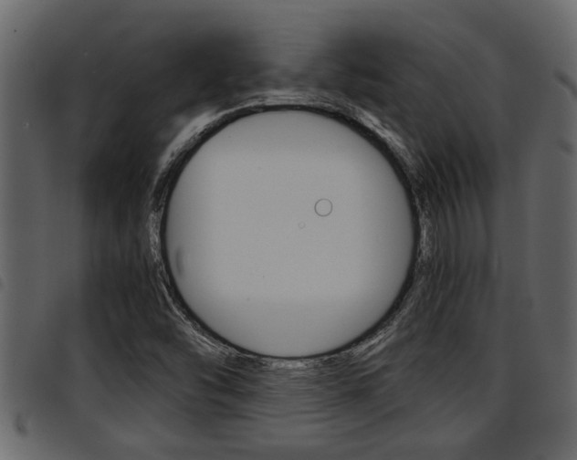 X0000094951454200711291054