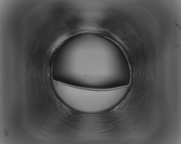 X0000094951455200711291054